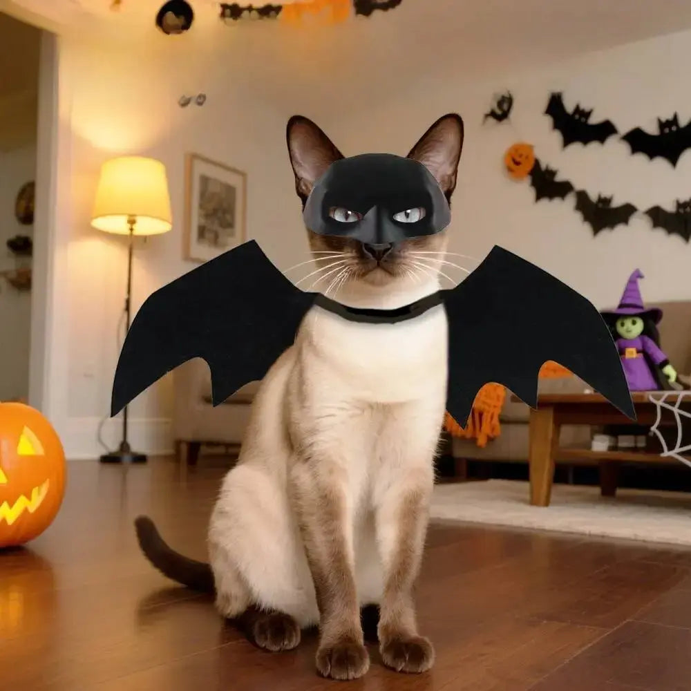 Cat shown wearing a black mask and wing costume