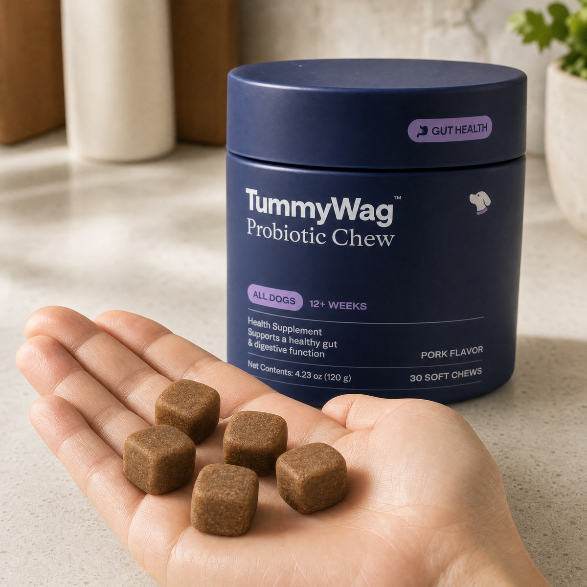 TummyWag soft chews in an open hand