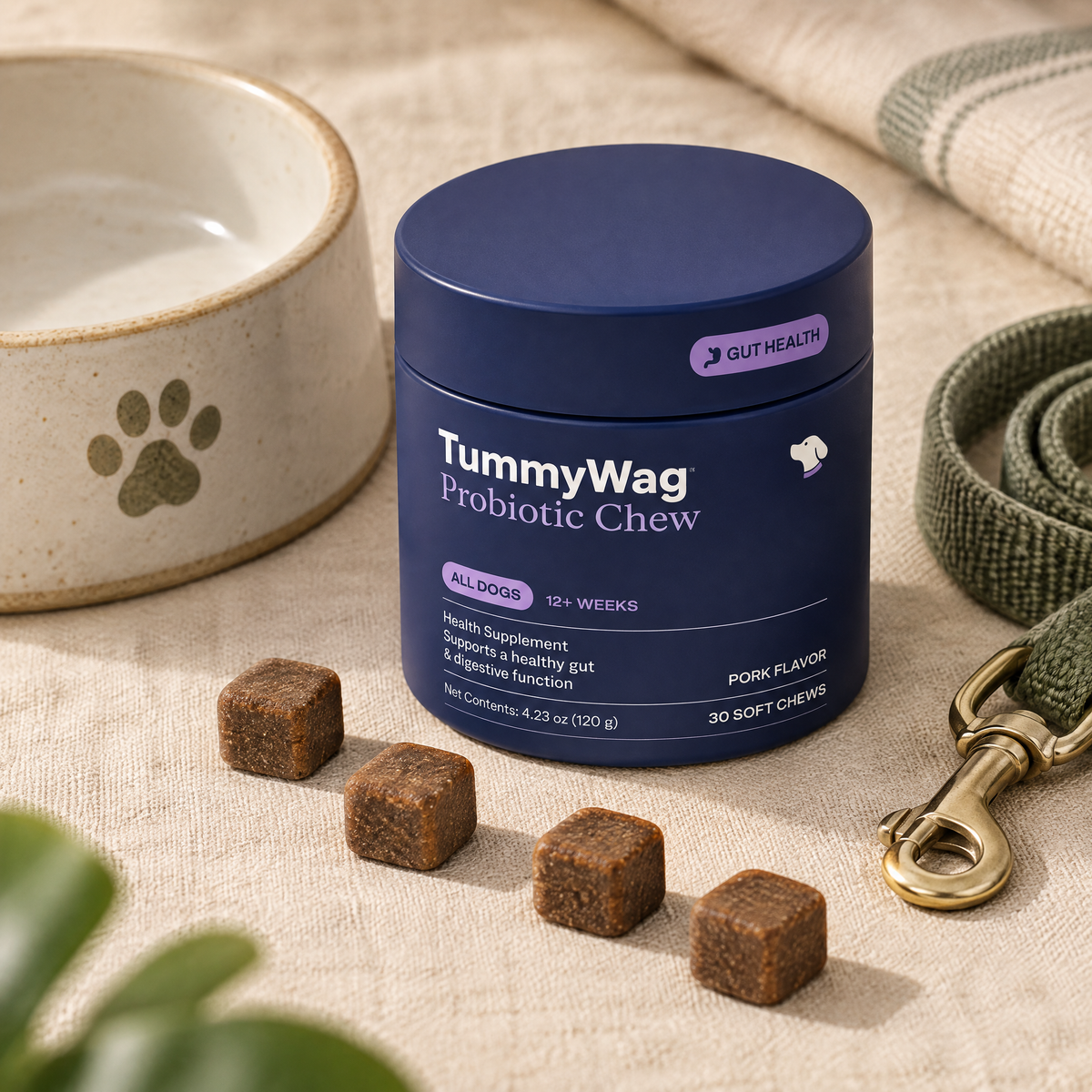 TummyWag jar with dog bowl and leash